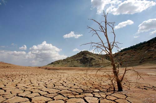 17 de junio, Día Mundial contra la Desertificación y la Sequía