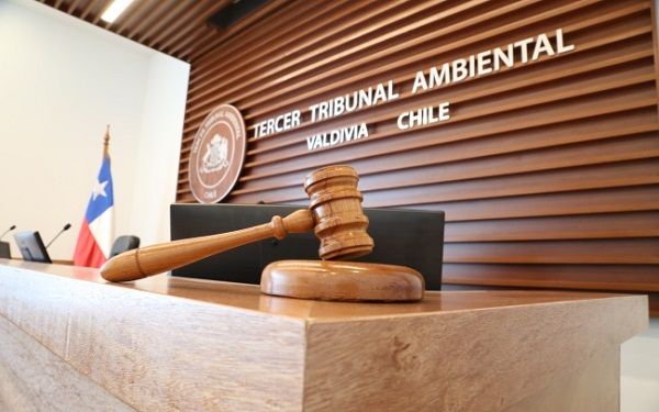 Cuenta pública: Tribunal Ambiental de Valdivia  aumentó en un 45,4% el número de sentencias