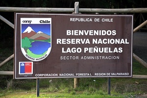 Carabineros detiene a sujeto por realizar fogata en la Reserva Nacional Lago Peñuelas