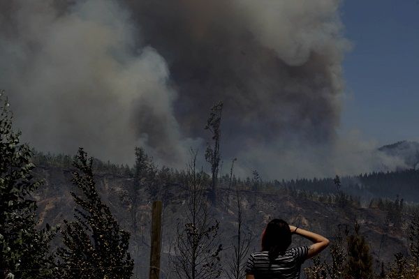 WWF Chile pide medidas urgentes de adaptación al cambio climático para recuperación del territorio afectado por incendios