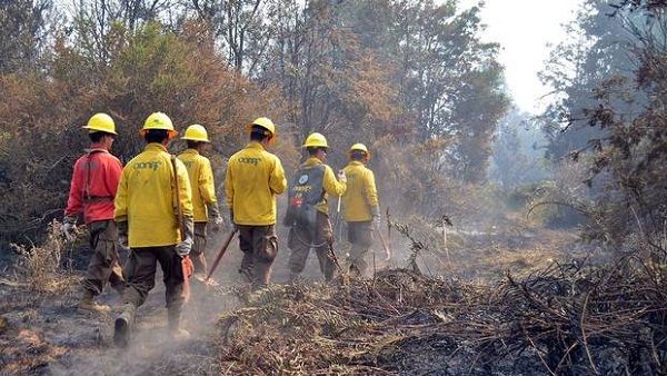 Incendios han arrasado más de 366 mil hectáreas: 58 siguen siendo combatidos