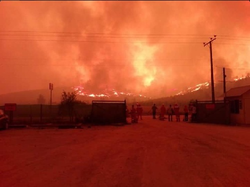 Conaf: incendio de Pumanque es el más agresivo en los últimos 50 años