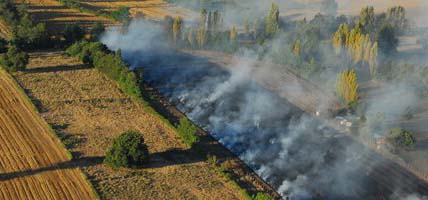 Suspenden durante todo el verano quemas agrícolas en Región de Valparaíso