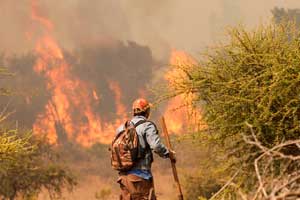 Forestales prueban nuevas tecnologías para prevención y combate de incendios