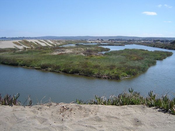 Ministerio del Medio Ambiente entrega Plan de Manejo para Humedal la Laguna de Cartagena