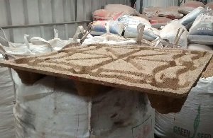 Chilenos crean pallets biodegradable con cáscaras de nuez