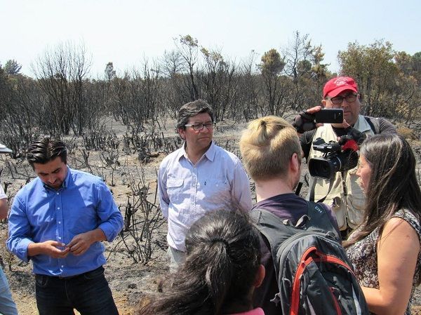 Badenier evalúa situación del Santuario de la Naturaleza Cajón del Río Achibueno y Reserva Nacional Laguna Torca por incendios
