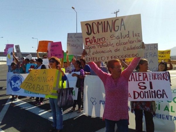 Oceana Chile y Modema celebran rechazo de Proyecto Dominga