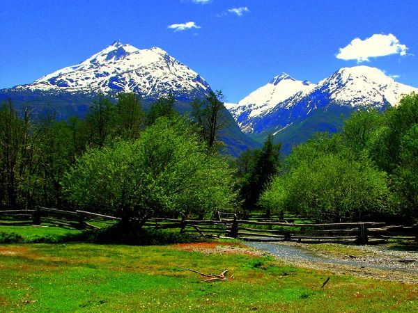 Crece interés por desarrollar “bancos de compensación ambiental” en Chile
