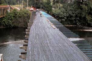 Científicos de la Universidad de Concepción trabajan para construir puentes de madera más resistentes
