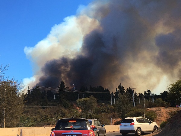16 viviendas afectadas y más de 6.000 evacuados por nuevo incendio en Región de Valparaíso