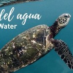 C7hy0pOXQAEX8XT-compressor