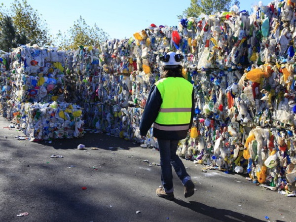 Ley REP y cambio cultural podrían aumentar el negocio del reciclaje en Chile