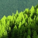 4 – 30 de mayoCHICA