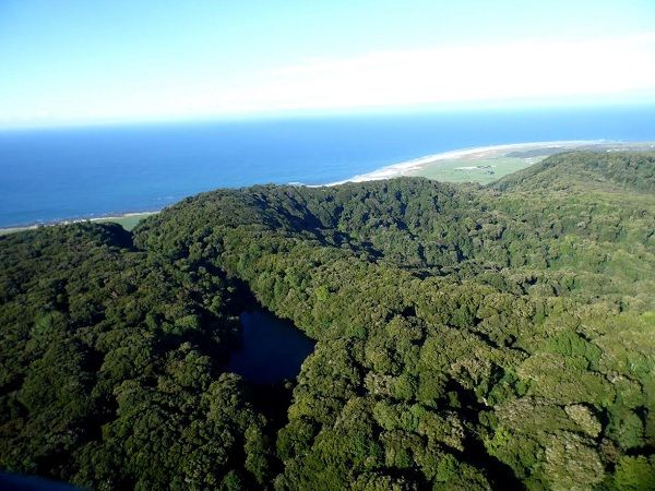 Reserva Nacional Isla Mocha cumple 29 años enfatizando su labor en la conservación de la fardela blanca
