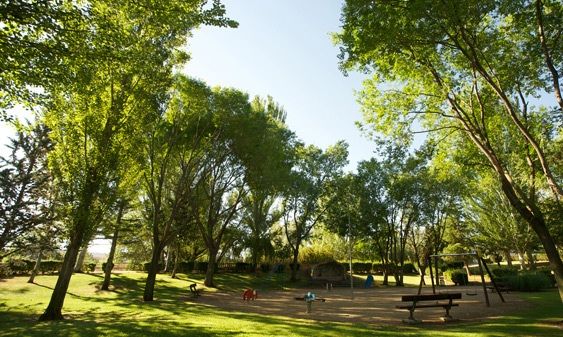 Gran Santiago: estudio indica que hay 3,7 metros cuadrados de áreas verdes accesibles por persona