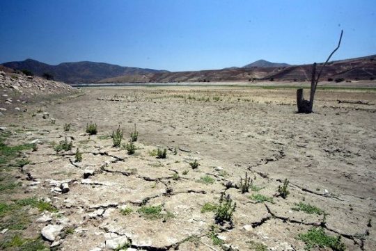 Productores de Petorca enfrentan la escasez de agua con tecnología de monitoreo