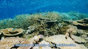«Los océanos definen nuestro planeta», revisa el video oficial de la Conferencia sobre los Océanos de la ONU
