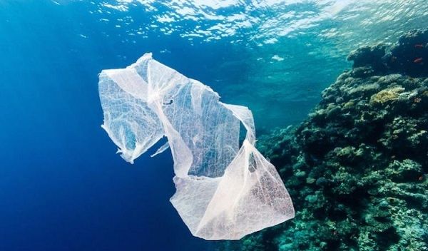 ONU advierte que»para el 2050 podría haber más plástico que peces en el océano»