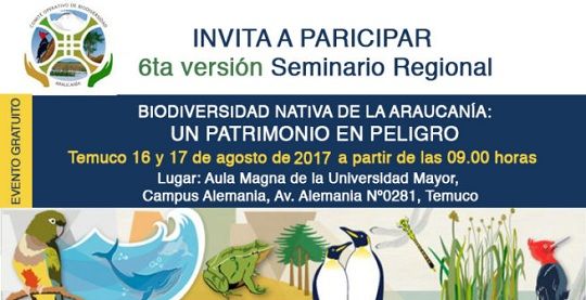 Temuco: seminario intersectorial regional abordará los peligros del escenario actual de las araucarias