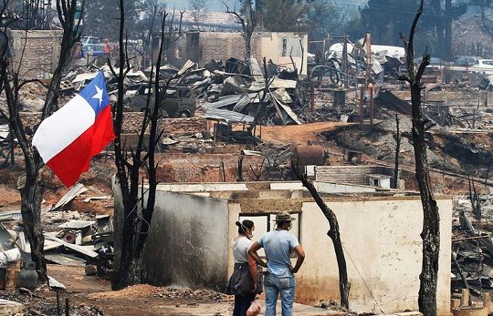 La mitad de las hectáreas quemadas en megaincendios de 2017 aún no se recupera
