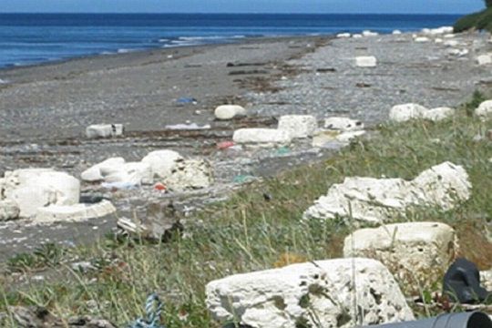 Imágenes satelitales revelan «contaminación antropogénica» en playas de Chiloé
