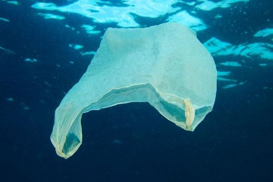 Hacen llamado global para un acuerdo vinculante que frene la contaminación plástica en el mar