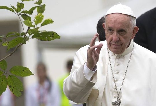 Papa Francisco critica a quienes niegan el cambio climático: «el hombre es un estúpido»