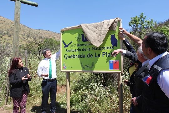 Inauguran Santuario Quebrada de la Plata con entrega de fondos para restauración ecológica