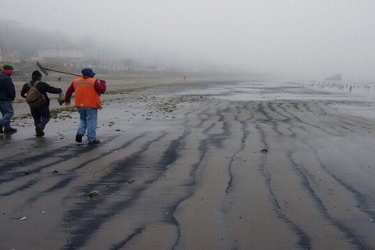 Nuevamente vierten dos mil kilos de carbón en playa Ventanas de Puchuncaví