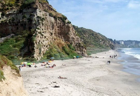 Informe científico advierte que la costa chilena requiere de urgente protección