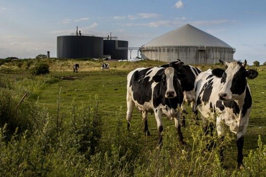 Industria lechera lanza su agenda de sustentabilidad al 2021
