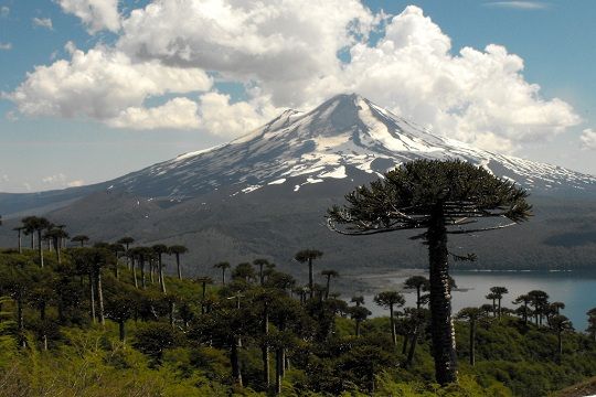 Conaf anunció creación de nuevo parque nacional Sollipulli en La Araucanía