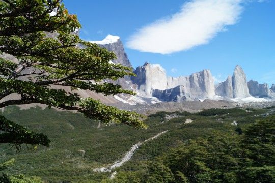 Problemas ambientales en Torres del Paine: ¿De quién es la responsabilidad?