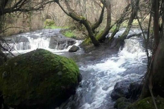 Acusan falta de resultados de estudios por presunta contaminación de río Curañadú