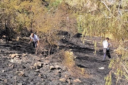 Parque Metropolitano presentó denuncia por incendio que consumió 14 hectáreas en el Cerro San Cristóbal
