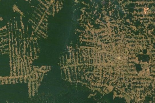 Deforestación en la Amazonía estaría llegando a un punto de no retorno