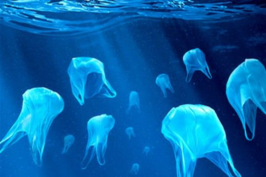 Gonzalo Muñoz coordinará negociaciones para combatir la contaminación por plásticos a nivel mundial