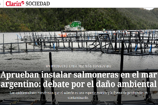 Polémica en Argentina por decisión de instalar salmoneras en el Canal Beagle