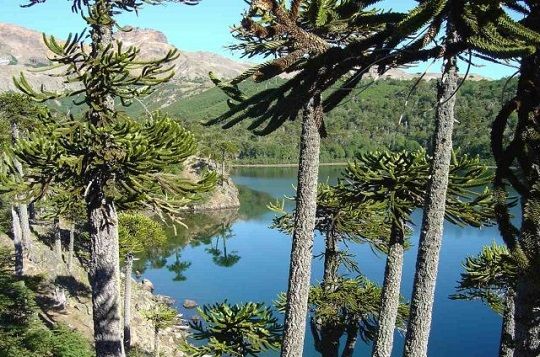 Promover turismo responsable con el ambiente se acordó en Consejo Consultivo de la Reserva Nacional Ralco