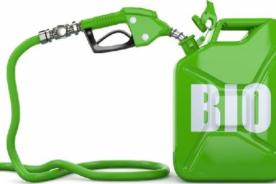 Biocombustibles: ¿Buenos o malos para el medio ambiente?