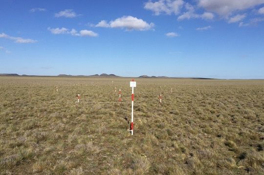 Trabajan en la implementación de una red de monitoreo ambiental de ecosistemas áridos en Arica y Parinacota