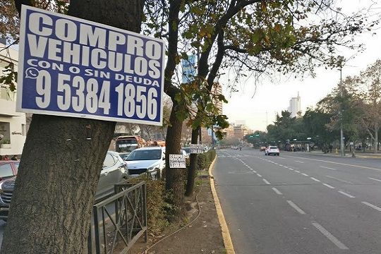 Denuncian que los árboles de Chile se están convirtiendo «en verdaderos diarios murales”