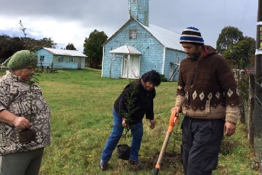 Voluntarios, pala en mano, iniciarán reforestación en Chiloé