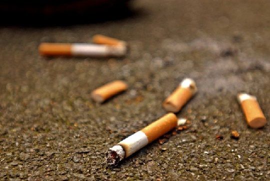 Cámara de Diputados aprobó proyecto que evita contaminación por cigarrillos en playas, ríos y lagos