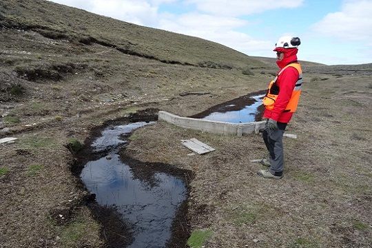 Desastre ambiental: derrame de petróleo en Tierra del Fuego moviliza a autoridades