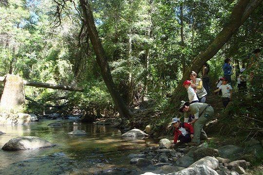 Reserva Nonguén se convierte en el primer parque nacional perirubano