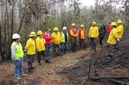 Conaf capacita a sus nuevas Unidades de Determinación de Causas de incendios forestales