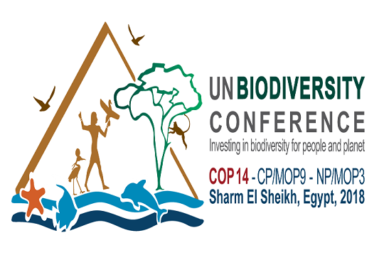 Inauguran Conferencia Mundial de Naciones Unidas sobre Biodiversidad en Egipto
