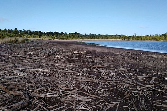 Ingresaron querella por daño ambiental en laguna de Calbuco